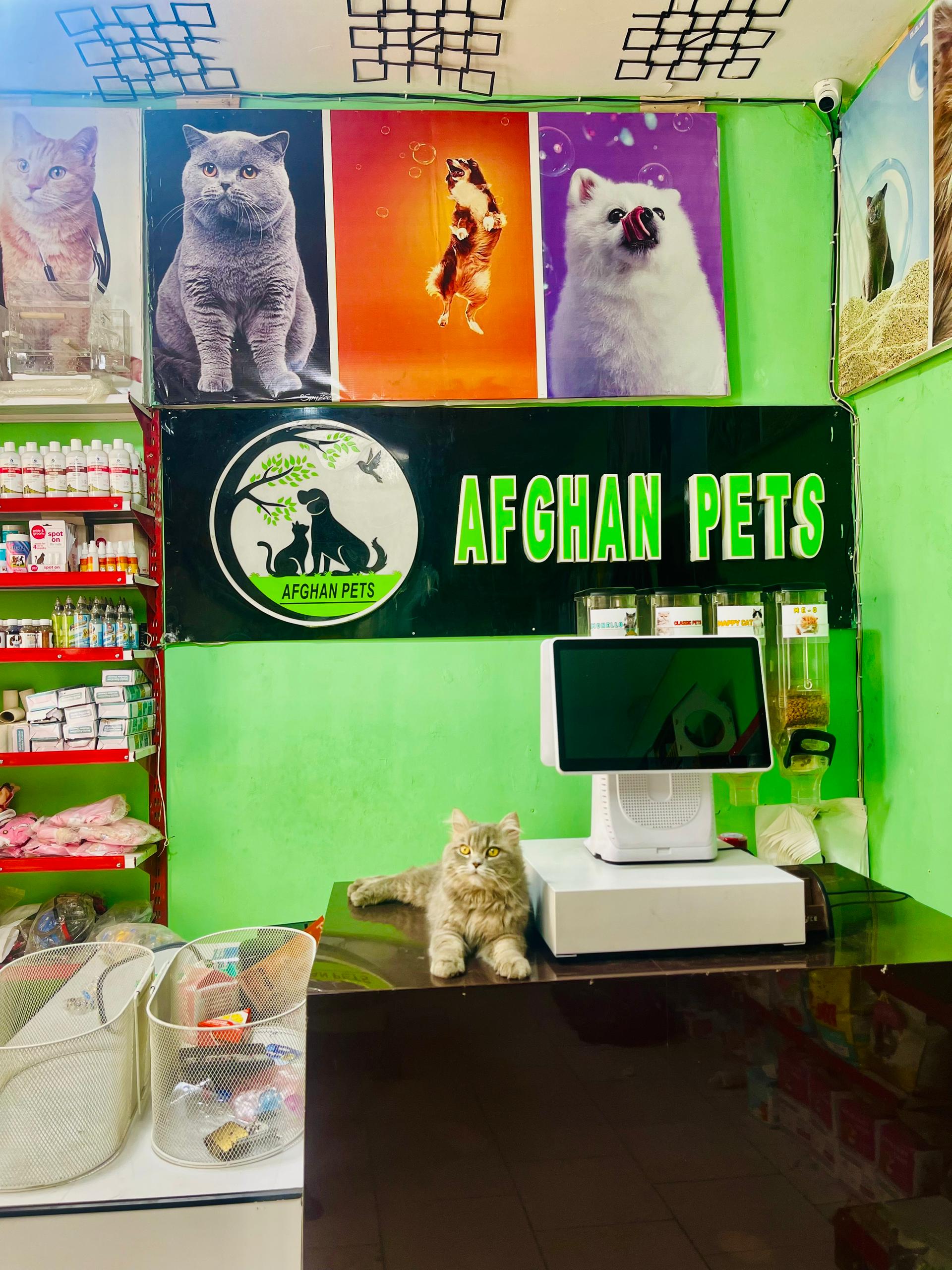 Afghan Pets